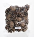 Duże Szyszki naturalne Pinus Niger 7cm - 500g_1