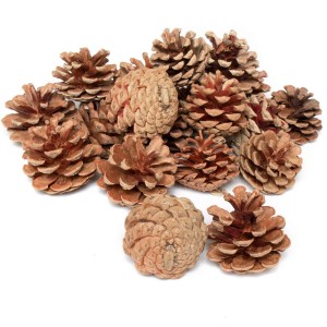 Szyszki naturalne Sosnowe na Choinkę Stroik - 500g