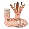 Zestaw-ROSE-GOLD-Talerzyki-Kubki-i-Slomki-12-osob.jpg