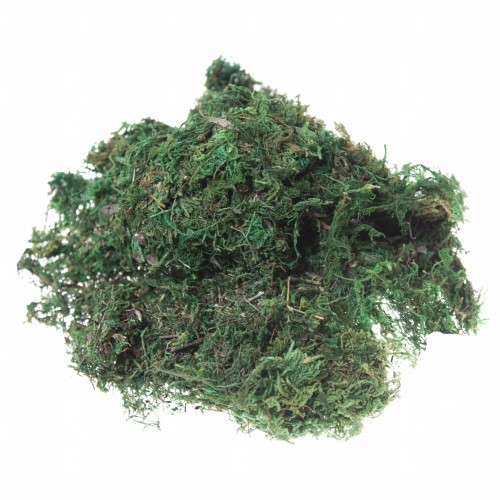 Mech do dekoracji 50g TG69547.jpg