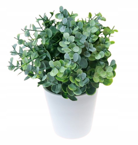 Dekoracja-w-doniczce-Galazki-Eukaliptusa-bukiet-dekoracyjny-21cm.jpg