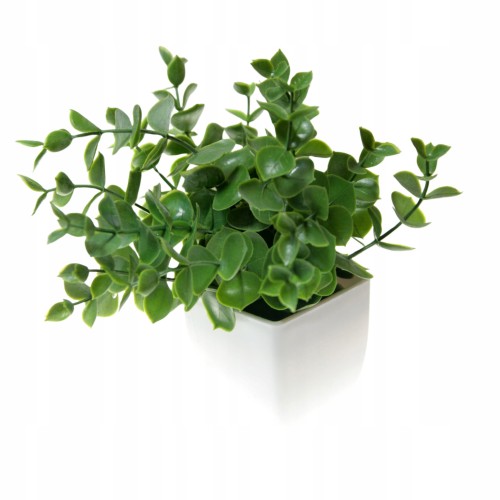 Dekoracja-w-doniczce-Galazki-Eukaliptusa-bukiet-dekoracyjny-19cm.jpg