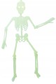 SZKIELET-Kosciotrup-Swiecacy-Szkielet-FOSFORYZUJACY-na-Halloween-90cm.jpg