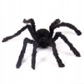 STRASZNY-i-GIGANTYCZNY-Pajak-Na-HALLOWEEN-Dekoracja-70cm-x-90cm-EAN-GTIN-5900290730173.jpg