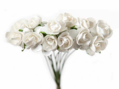 127d40bf43e384bd002747909abe