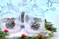 JARZĘBINA CZERWONA MROŻONA na choinkę 40szt_6