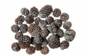 Szyszki Murri idealne do stroików 2-5cm - 200g_0