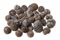 Szyszki Murri idealne do stroików 2-5cm - 200g_1