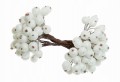 Jarzębina zmrożona dwustronna white_0
